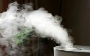 加湿器24小时不停? 医生：需注意科学使用