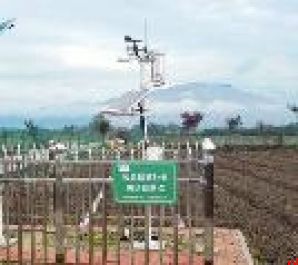 汉中联通践行央企担当 多元服务绘就乡村幸福画卷