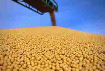 超1.4万亿斤！2025年全国粮食实现丰收