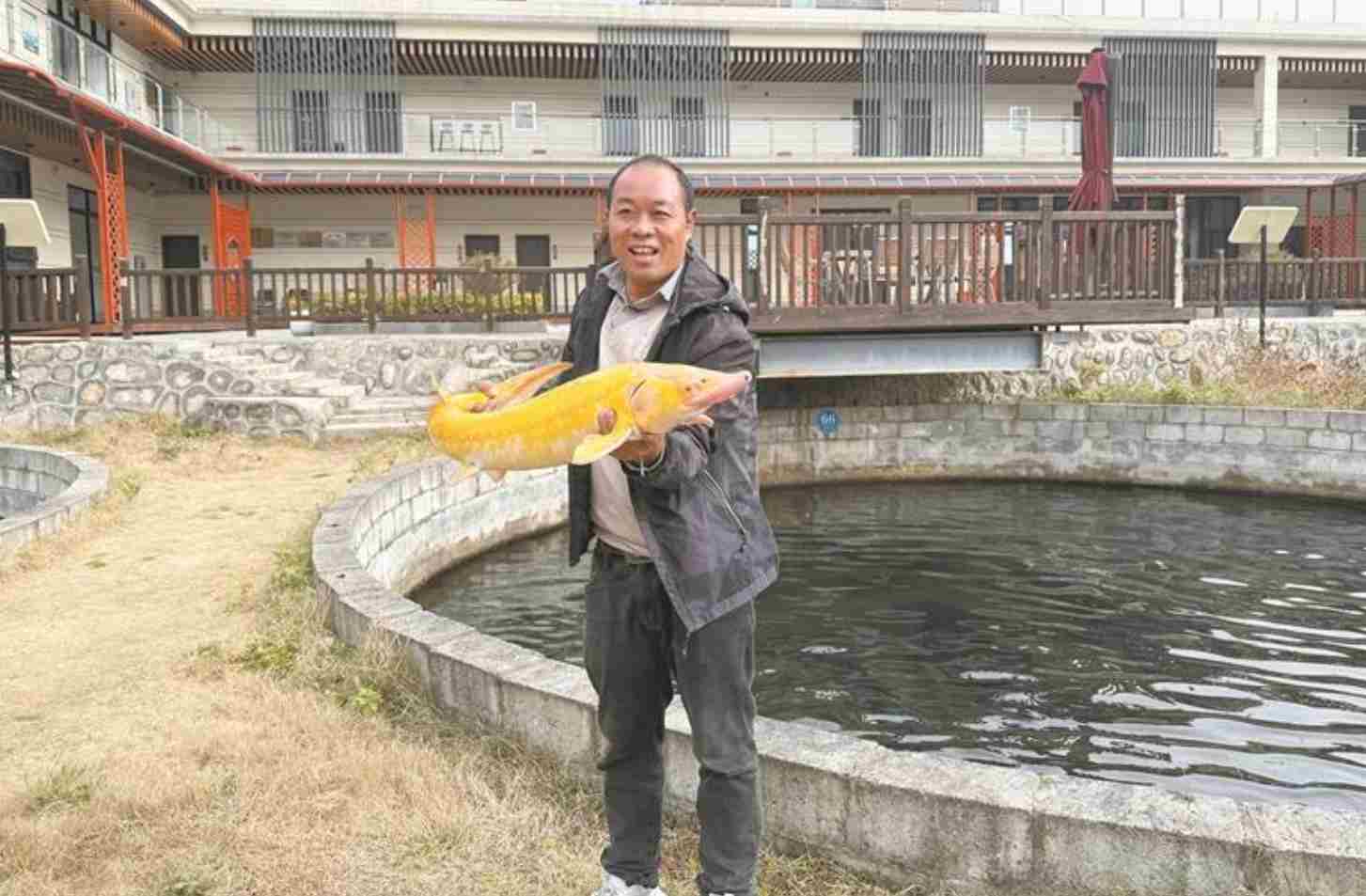 汉中冷水鱼养殖面积达35.5万平方米 年产值超3亿元