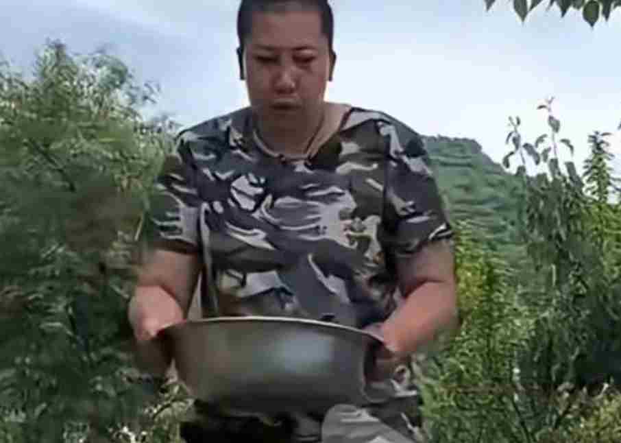 东北雨姐等劣迹网红复出被查 他们是如何“借尸还魂”的