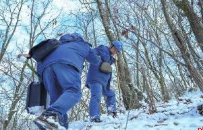 多措并举筑牢保供防线