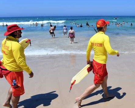 澳大利亚海滩枪击致12死29伤