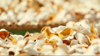 被曝有企业产销“速成工艺陈皮” 广西浦北县成立联合调查组