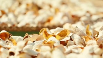 被曝陈皮年份虚标等问题 广东江门新会开展专项查处行动