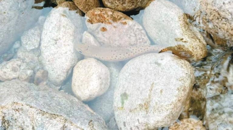 XN3uGhUi4ZxIYofn.jpg 2.jpg