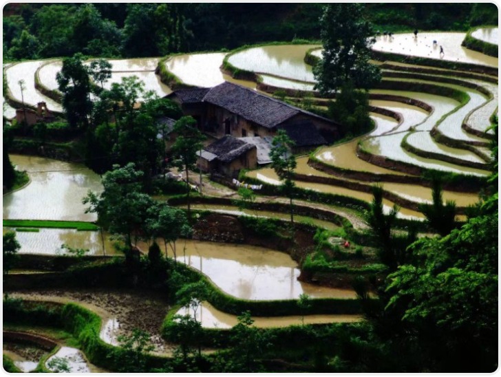 全国首单梯田碳汇交易在陕西省完成