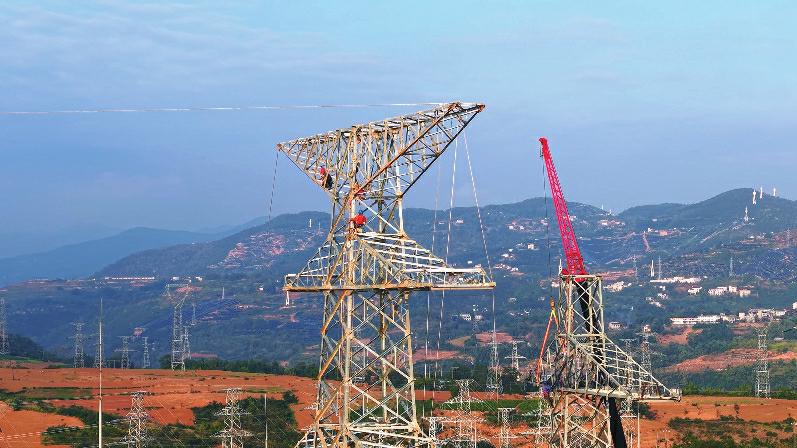 多措并举筑牢保供防线
