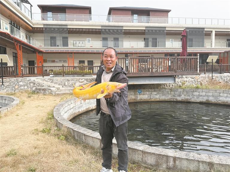 秦巴冷水鱼“游”成“热产业”