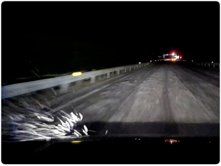 40多辆车高速上遭“臭袭”！交警：非交通事故 保险拒赔