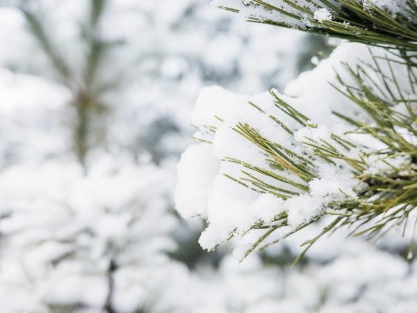 冰雪假带动文旅热