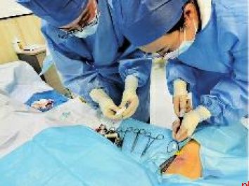 陪伴是最长情的告白