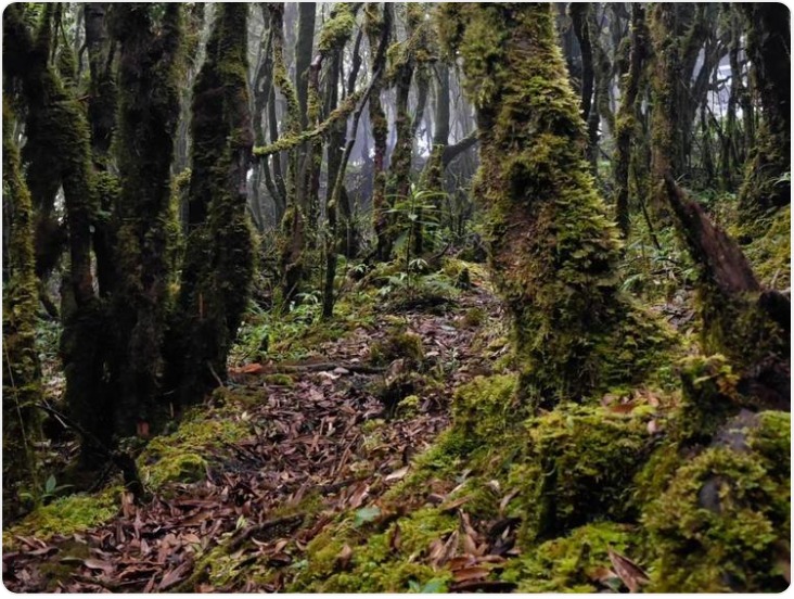 “哀牢山荒野求生赛事”引发关注 云南新平：实为综艺类节目
