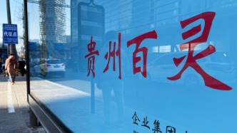 3年虚增6.55亿元利润！贵州百灵及相关负责人被罚2560万