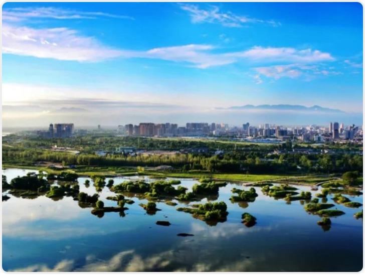 陕西聚焦农村地区义务教育、基本医疗、住房安全等领域持续发力