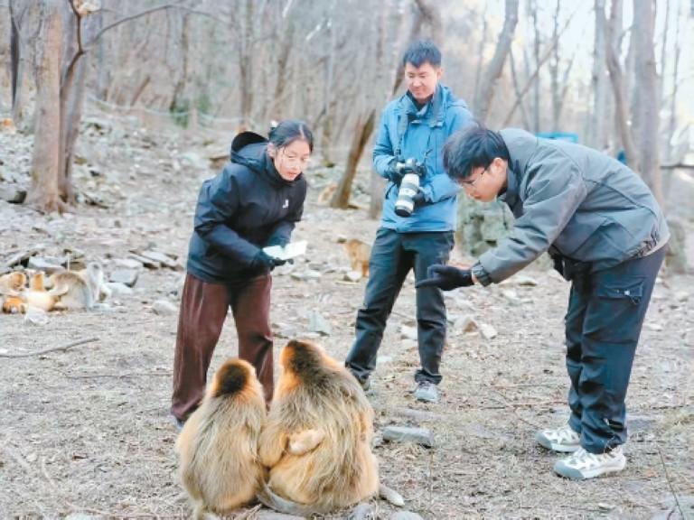 “四代”接力共同守护　续写秦岭生态华章
