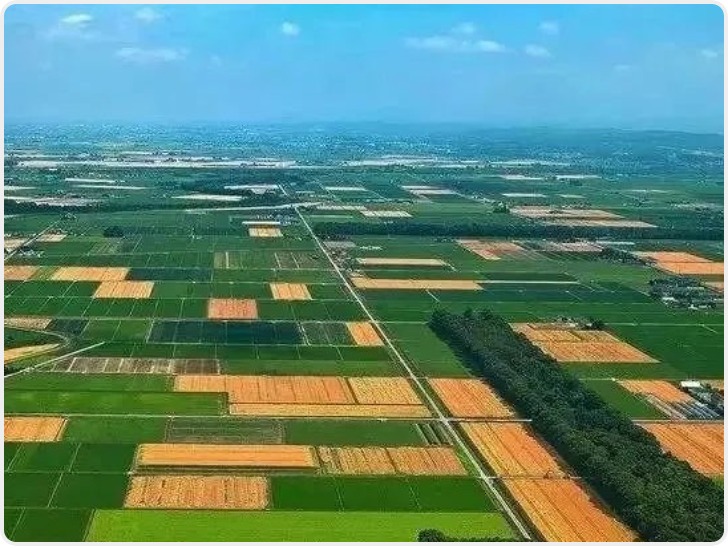 西安农投跻身全国农业产业化第一方阵