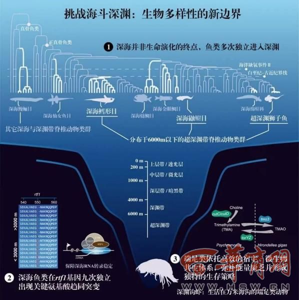 西工大成果第三次入选“中国生命科学十大进展”