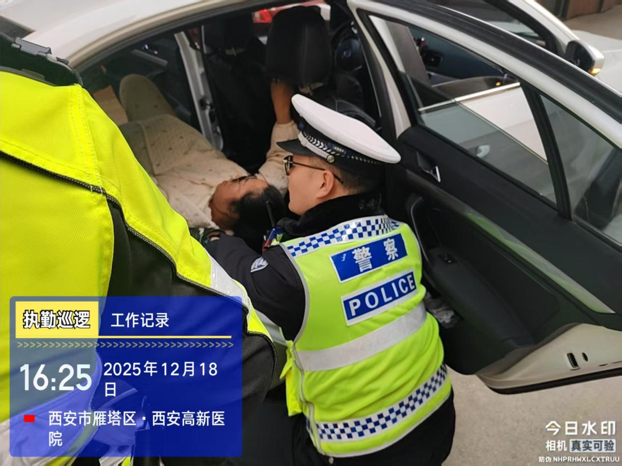 j1jL86antceoBdXB.png 图片 1.png