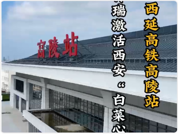 坐着高铁去延安|高陵站：福鹿祥瑞激活西安“白菜心”