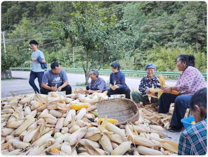 点击鼠标 一份“帮扶策划书”就来了！汉中市农业农村工作引入DeepSeek