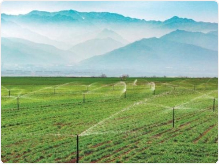 西安“以创新为墨” 书写科技自立自强时代答卷