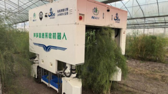 我国首台芦笋高速采收机器人问世 每小时可采2500根