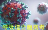 警惕呼吸道“隐形威胁”合胞病毒