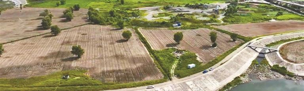 土豆的“芯”能量