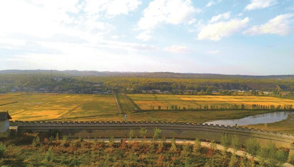 打造乡村振兴新样板 横山区特色产业引领高质量发展