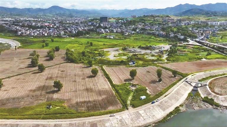 土豆的“芯”能量