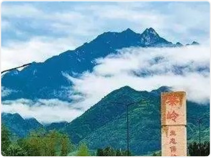 非法穿越秦岭系列案入选年度法治实施事件 司法补位监管短板