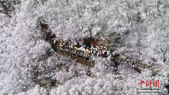 图为游人在陕西汉中龙头山景区赏雪。 宋晓丽 摄