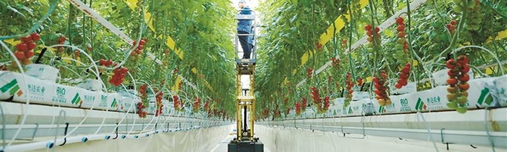 看一座“科技工厂”为丰收“编程”