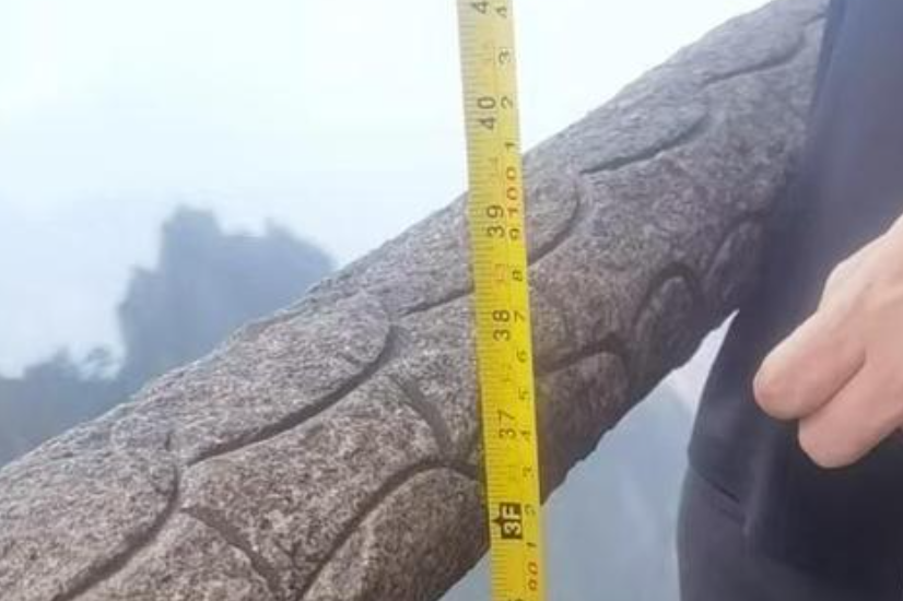 女生游黄山失联：百米悬崖下发现遗体 景区被判担责15％