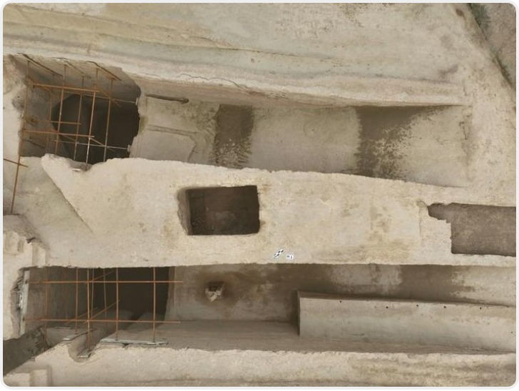 富平县庄里镇发现西周时期大型聚落 已探明多座甲字形带墓道大墓 抢救性发掘墓葬31座、车马坑及马坑5座