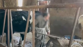 山西临猗通报养牛场用工有残障人士：涉事相关责任人已被控制