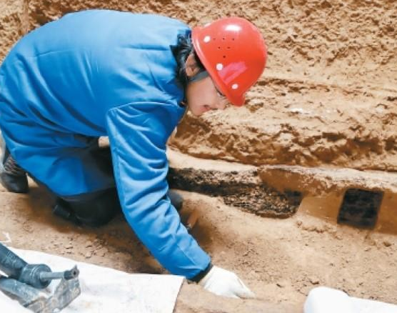 富平长春遗址西周采邑 “拆车葬”习俗透露重要“考古密码”