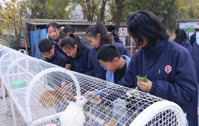 西安2025年30项为民实事巡礼丨“三护”并举 守护学生健康成长西安经开三小将“护眼护心护身”融入育人全过程