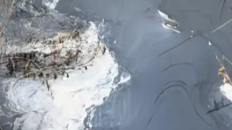 山东临邑“河水污染”追踪：系污水外溢 正抓紧推进整改