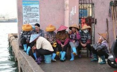 白马井码头早市