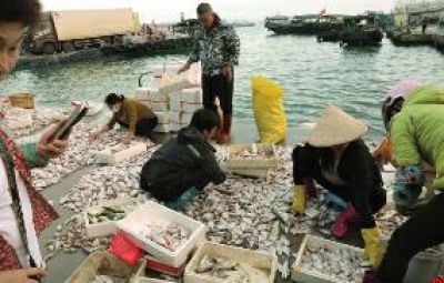 白马井码头早市