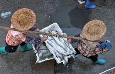 白马井码头早市