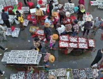 白马井码头早市