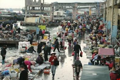白马井码头早市
