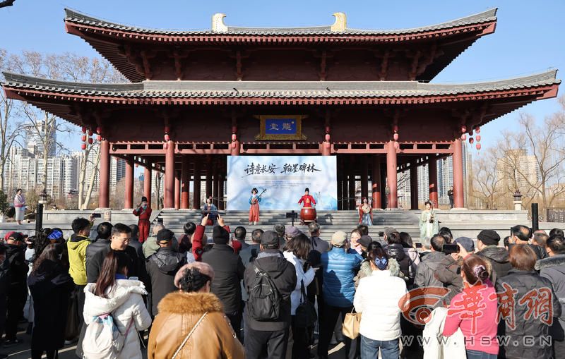 MA069196.JPG MA069196.JPG