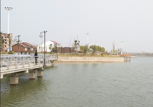 河南新蔡通报“一学生校内身亡”：初步调查排除刑案