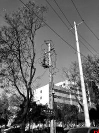 甜水井29号院的“用电闯关记”