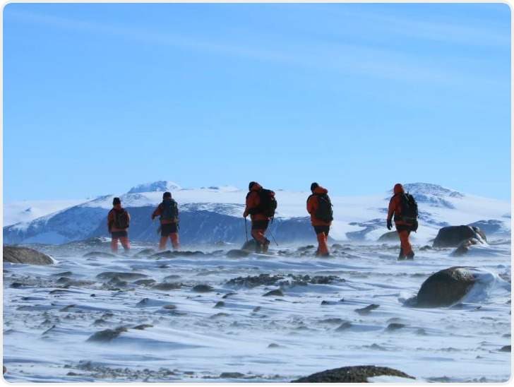 跨越三十余年！中国考察队与阿德利企鹅的南极之约