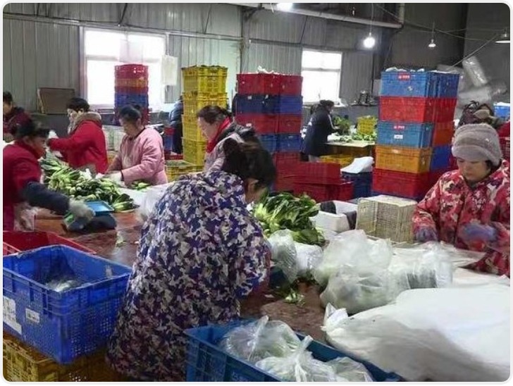 鄠邑区渭丰街道绘就冬日“丰”景图